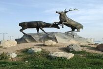 شفاف سازی سازمان حفاظت محیط‌زیست درباره بروز بیماری پن لوکوپنی در مرکز بازپروری حیات‌وحش پردیسان