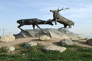 شفاف سازی سازمان حفاظت محیط‌زیست درباره بروز بیماری پن لوکوپنی در مرکز بازپروری حیات‌وحش پردیسان