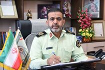 توقیف 3 دستگاه کامیون حامل 113 راس دام قاچاق در دهلران