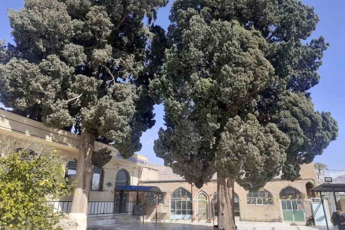 میراث فرهنگی فارس