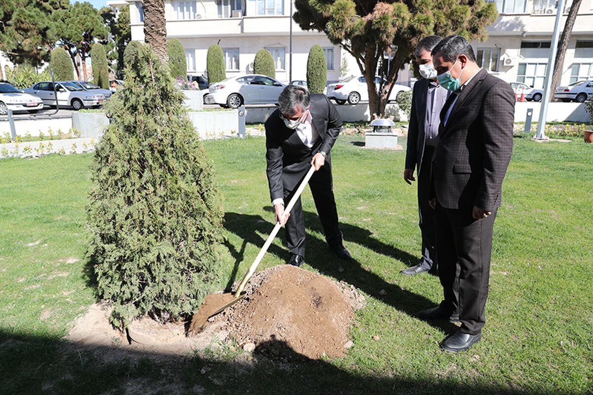 بانک ملی ایران