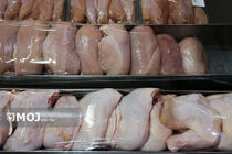 استاندار مازندران ارسال مرغ به خارج از استان را ممنوع کرد