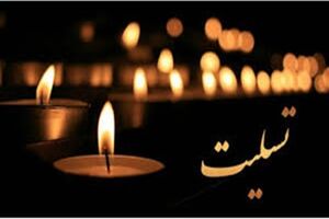 پیام تسلیت مدیر امور حوزه مدیرعامل و روابط عمومی بانک سینا به مناسبت درگذشت خبرنگاران حوزه محیط زیست