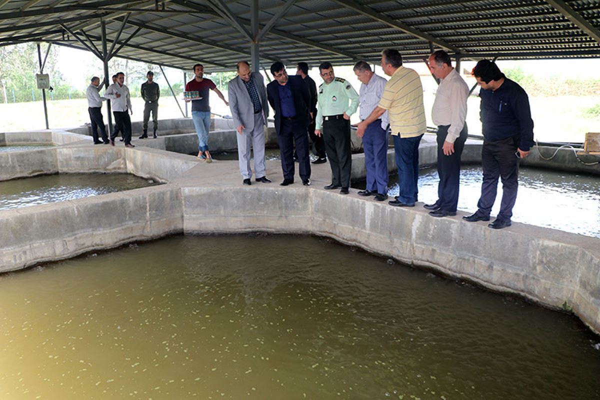 بازدید معاون شیلات ایران