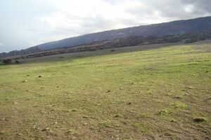 تخصیص اعتبار برای احیای مراتع هرمزگان 