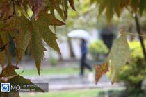 باران و سرما هفته جاری اغلب نقاط کشور را دربر می‌گیرد