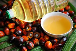 میزان مصرف روغن پالم در کشور 30 درصد است