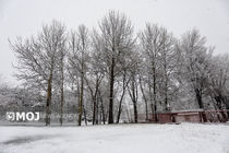 دوشنبه شب ارتفاعات پایتخت سفیدپوش می‌شود