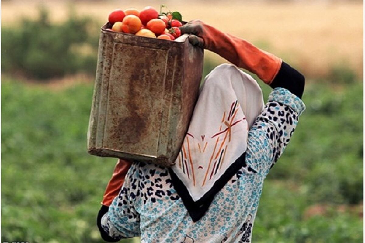 گسترش صندوق خرد زنان روستایی