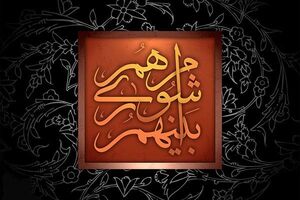 شهردار منتخب تخصص مدیریت شهری ندارد