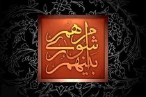 شهردار منتخب تخصص مدیریت شهری ندارد