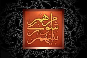 شهردار منتخب تخصص مدیریت شهری ندارد