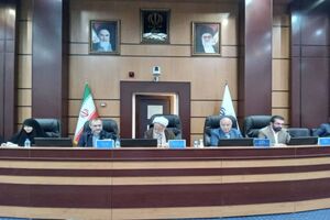 مسئله جمعیت مسئله جدی است/ مشکل جمعیت به خودمان برمی‌گردد.