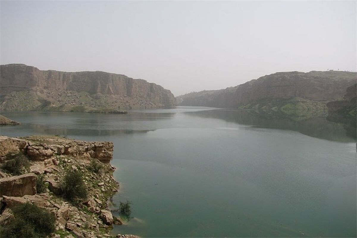 دالکی
