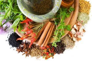 نحوه استفاده از گیاهان دارویی برای درمان بیماری های مختلف