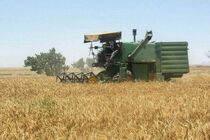 عملیات مکانیزه برداشت جوآبی و دیم از اراضی شهرستان مشهد 