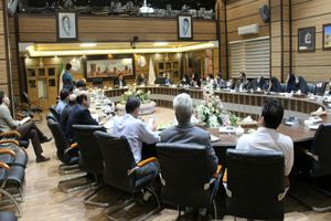 عدم کارایی مشوق های اقتصادی فرزند آوری با وجود افزایش سن ازدواج