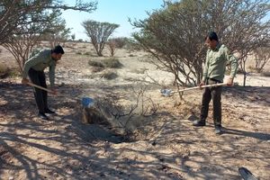 کشف کوره زغال سازی غیرمجاز در بندرخمیر