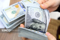 قیمت ارز امروز ۳۱ فروردین ۱۴۰۴ در بازار تهران مشخص شد