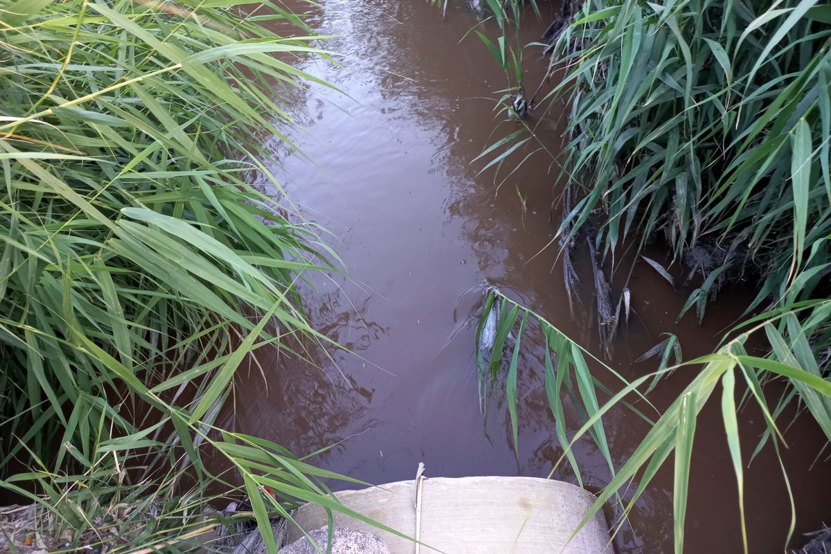 آلودگی رودخانه قره سو اردبیل