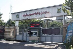 والیبالیست‌های قهرمان جهان از خدمت سربازی معاف شدند