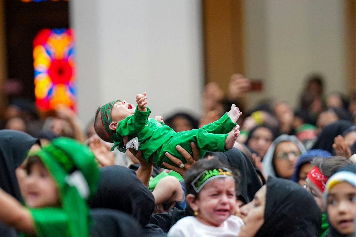 همایش شیرخوارگان+شیراز