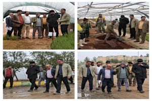 تاکید بر خودکفایی سازمان سیما و منظر یزد در تولید گل و گیاه مورد نیاز سطح شهر 