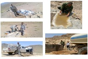 آبشخورهای منطقه شکار ممنوع در شهرضا ترمیم و آبگیری شد