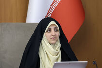 برنامه اقدام ملی کسب و کار خانگی زنان تدوین می‌شود