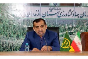 تولید محصولات کشاورزی خط قرمز جهاد کشاورزی است/ خوداتکایی در تولید برنج با حمایت از ارقام پرمحصول