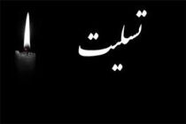 پیام تسلیت فرشید فرخ نژاد درپی درگذشت مدیرعامل بانک ملت
