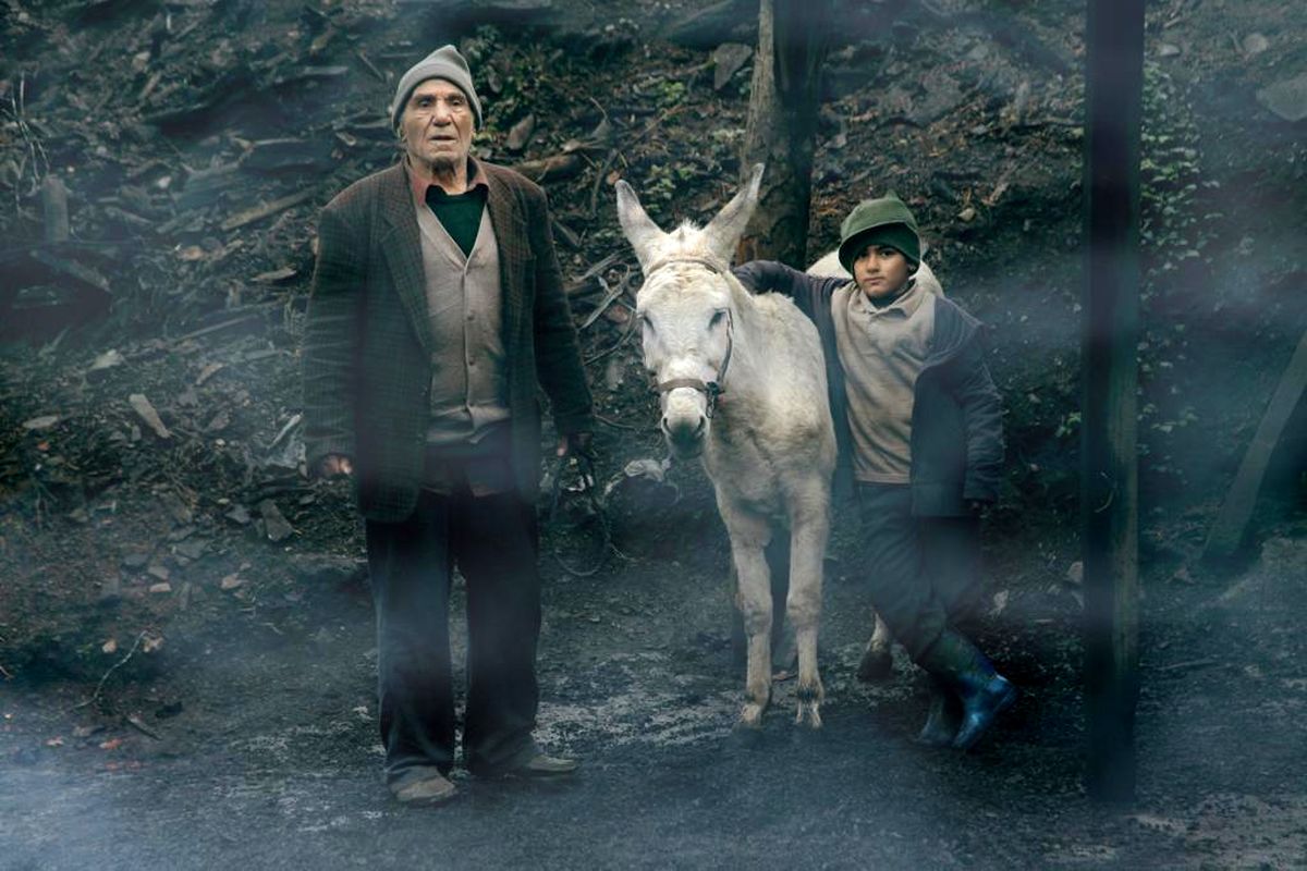 سينما دانكى نامزد دریافت جایزه از جشنواره بوسان شد