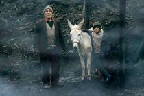 سینما دانکى نامزد دریافت جایزه از جشنواره بوسان شد