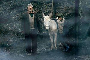 سینما دانکى نامزد دریافت جایزه از جشنواره بوسان شد