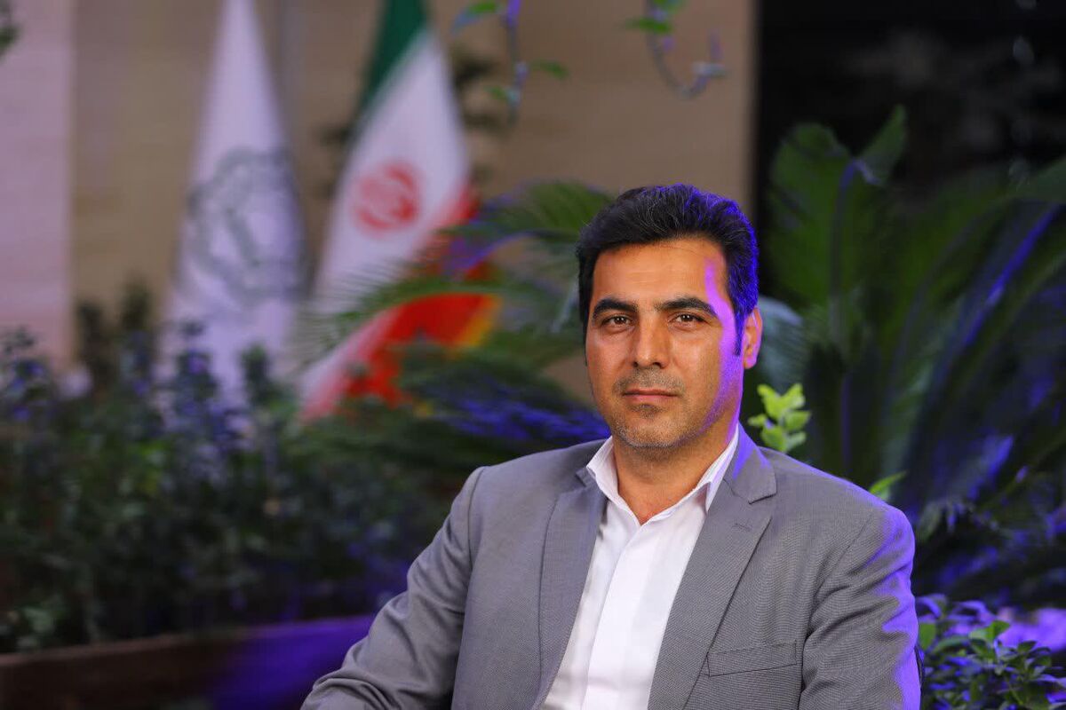 سید ابوالفضل میریک امامی