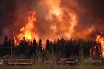 فرار شبانه 10 هزار فرانسوی از ترس آتش‌سوزی در جنگل