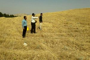 رفع تصرف 17 هکتار از اراضی ملی شهرستان میناب