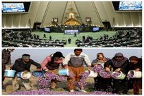 نماینده مجلس خواستار ورود مسئولان به موضوع زعفران شد

