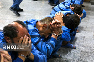 طرح ضربتی پلیس برای مقابله با سارقان منازل/ ۳۳۸ متهم در دام قانون