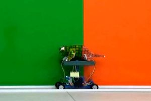 رباتی که آفتاب پرست می‌شود