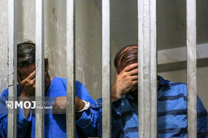  پر پرواز کلاغ‌های غریبه در مشهد ریخت