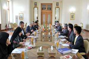 رایزنی‌های سیاسی جمهوری اسلامی ایران و هند در تهران برگزار  شد