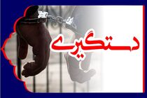سرقت درخت در جنوب تهران