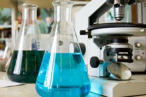 نخبگان، کارگزاری را انتخاب کنند که در شأن انقلاب باشد