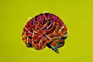 ضریب هوشی چیست و طبق چه معیاری اندازه‌گیری می‌شود؟