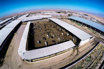 نیشابور دارای مقام نخست تولید در خراسان رضوی