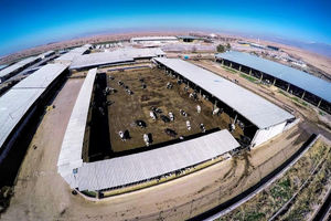 نیشابور دارای مقام نخست تولید در خراسان رضوی