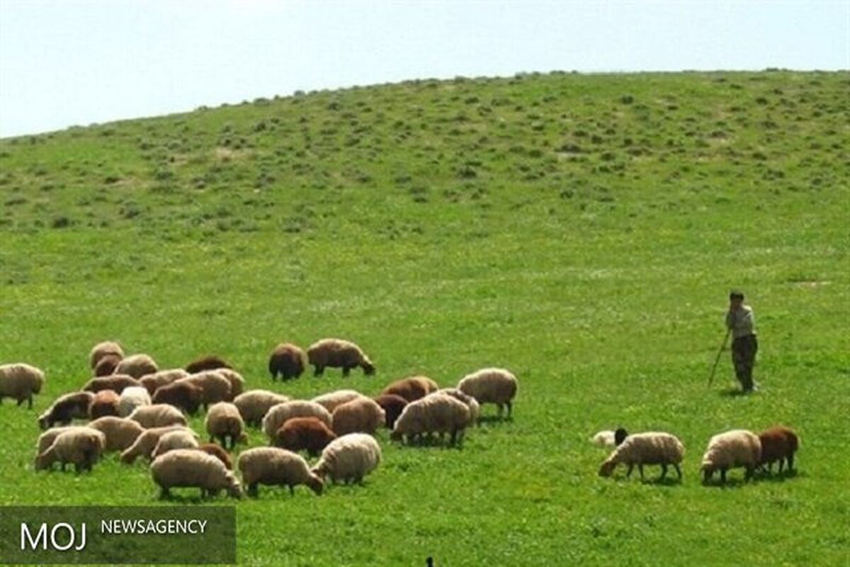 مراتع آذربایجان شرقی