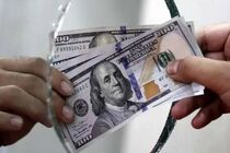 شرایط خرید ١٠ هزار دلار دولتی با کد ملی اعلام شد