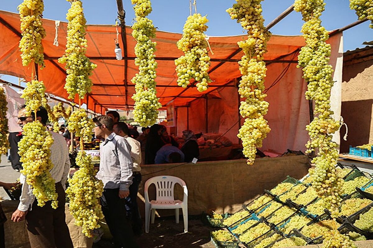 اصفهان- جشنواره انگور